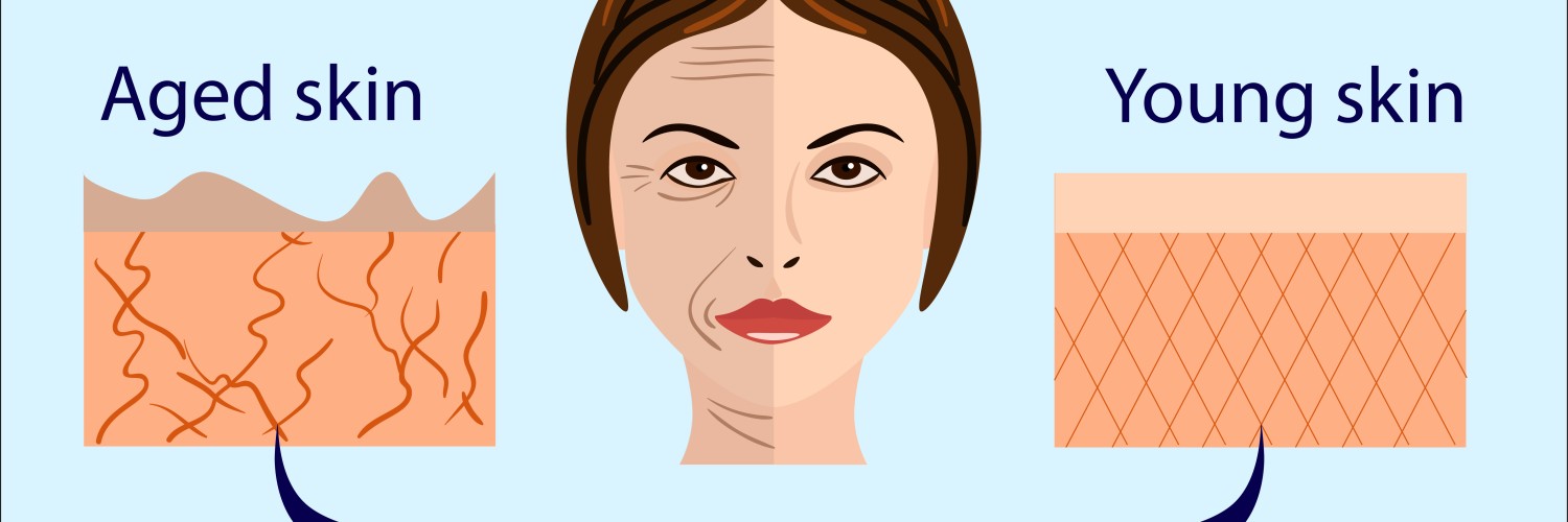 راهنمای کامل افزایش کلاژن و الاستین برای داشتن پوستی جوان و شاداب