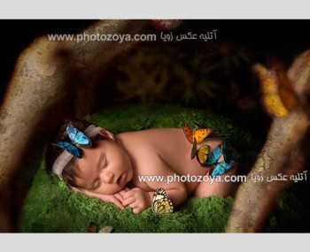 عکس نوزاد در تم جنگل و پروانه