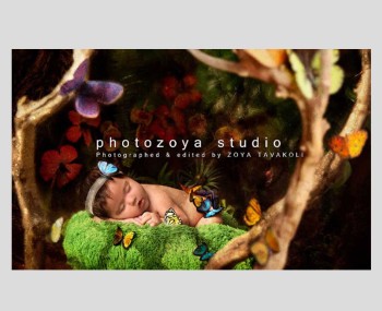 عکس نوزاد در دکور جنگل و پروانه